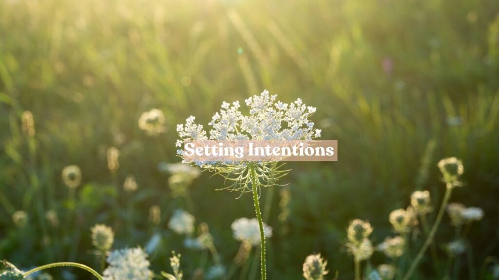 Setting Intentions