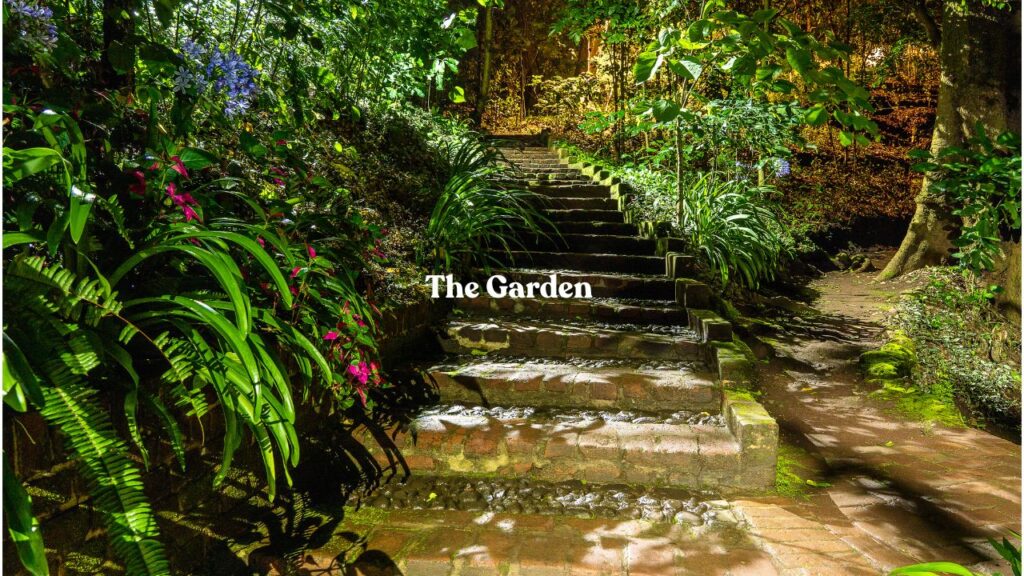 The Garden