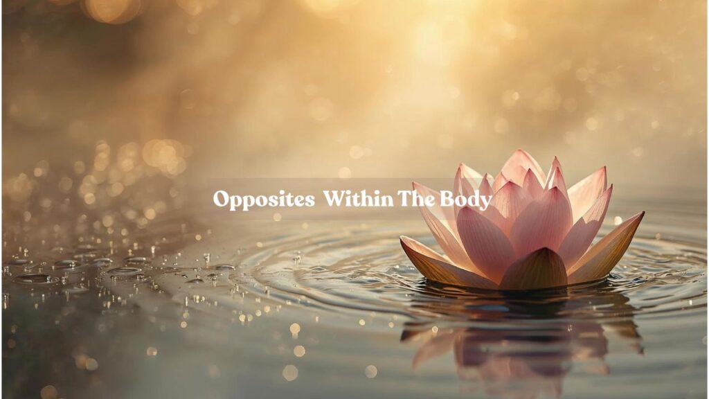 Opposites Within The Body