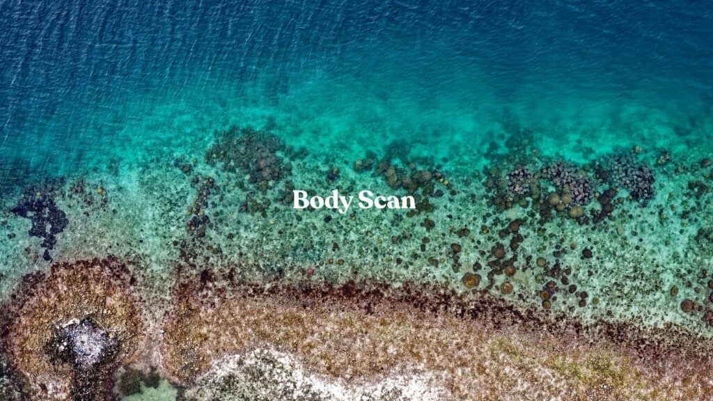 Body Scan