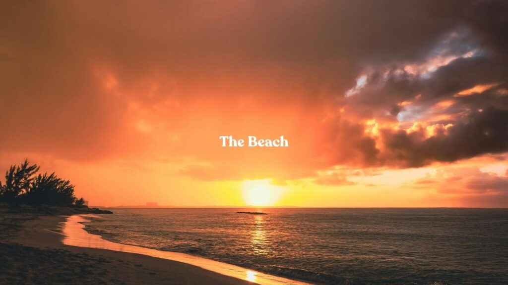 The Beach